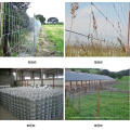 Galvanizado Hexagonal Wire Mesh / PVC Coated Hexagonal Wire Mesh